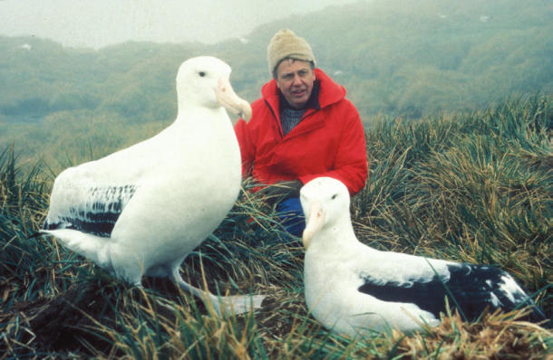 David Attenborough in The living planet : The sky above (1984) (reproduced by permission of the BBC Photo Library)