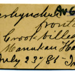 Plain study-skin label in C. F. Adams's hand of the type used for birds in the Auckland Museum collection (LB2712, wrybill Anarhynchus frontalis; label 66 × 27 mm). Adams included the common name and iris colour on these labels and put a solidus before the year digits. The labels are manila-coloured with dull red cardboard eyelets stamped “PATD.1863.1874”; they seem to be commercial luggage tags trimmed to size. Photograph: B. Gill.