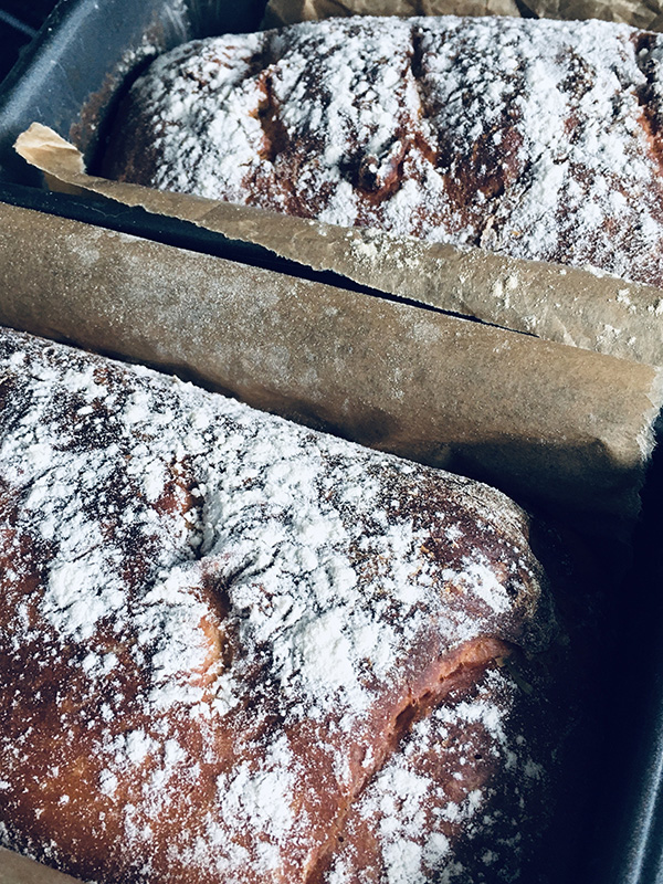 Photograph of sourdough loaves in baking tins. 