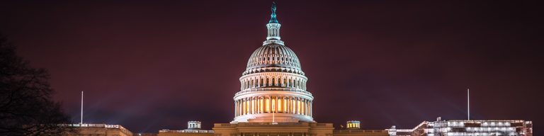 Photograph of the US Capitol at night