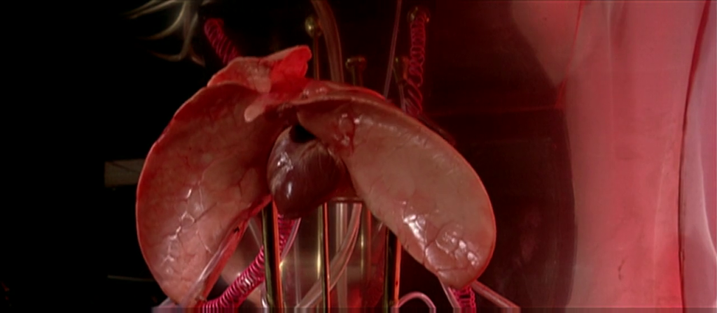 A screenshot from Paul Morrissey and Antonio Margheriti’s Flesh for Frankenstein (1973) showing a disembodied heart and lungs.