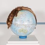 A feret draped over a world globe