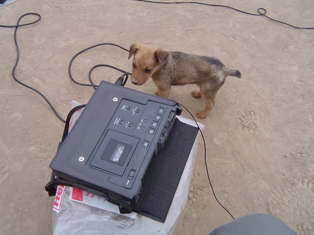 Photo of a small brown puppy next to a large black cassette recorder on dusty ground.