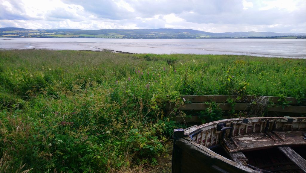 A small field with a curragh boat in front of a body of water