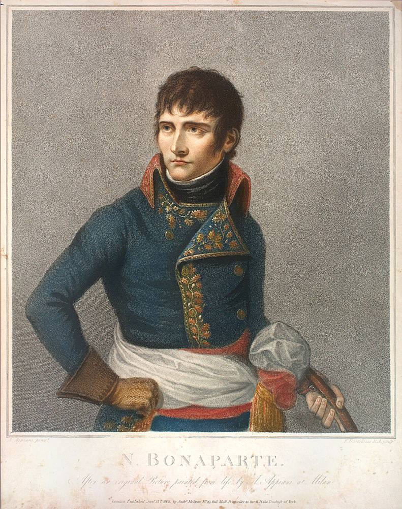 Napoleon wears a blue uniform with a red collar. The uniform is embroidered along the borders with gold oak leaves.