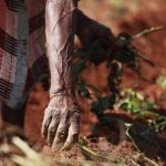 An elderly woman's hands can be seen planting vegetables in red soil