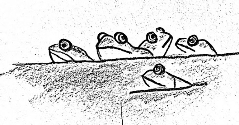 Drawing of the game of artificial frogs: most frogs sit on the surface of the water, whilst the 'salted frog' sinks to the bottom