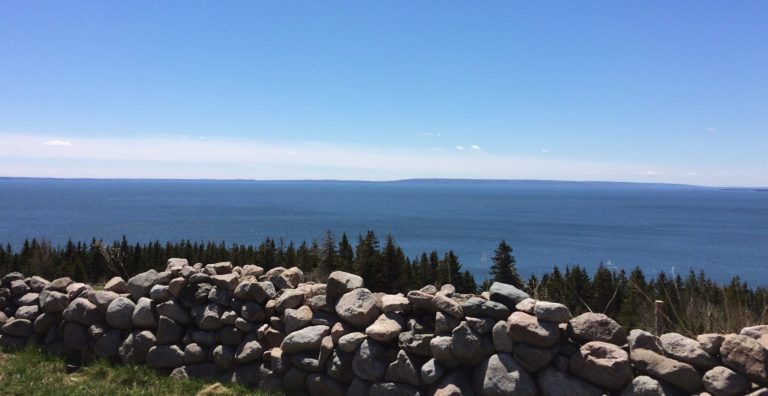 Landscape view looking out across a large body of water. Land is just visible on the horizon, there is a line of trees on the shore, and in the immediate foreground there is a rough stone wall.
