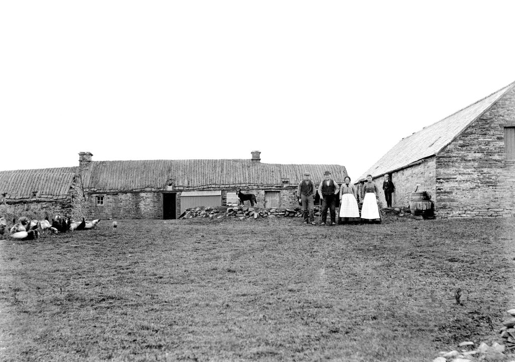 A one-story croft or small farm in Caithness, with the family and their animals outside, c 1880