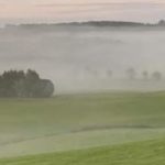 A green field with a hedge in the left background. The field is covered with thin, eerie mist.