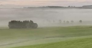A green field with a hedge in the left background. The field is covered with thin, eerie mist.