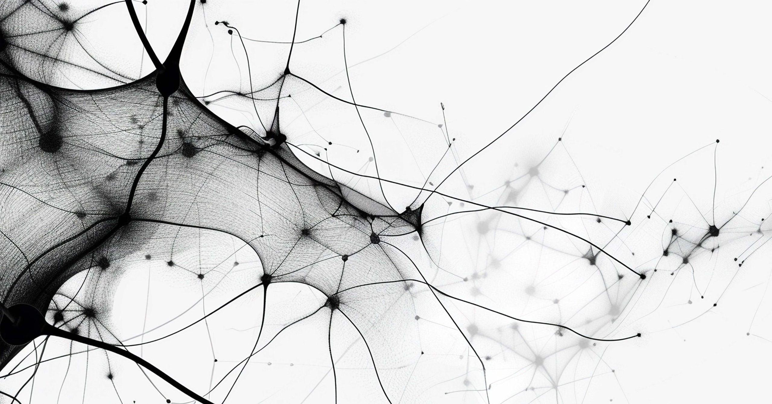 Abstract black-and-white image of fine, web-like lines and dots resembling neural connections or a network, flowing diagonally across a white background