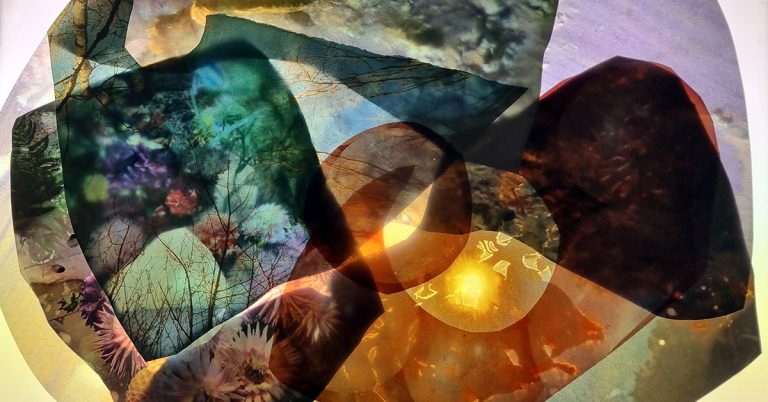 a colourful collage of fragments of overlapping abstract photographs of plants, water and rocks. The colours give the feeling of iridescence.