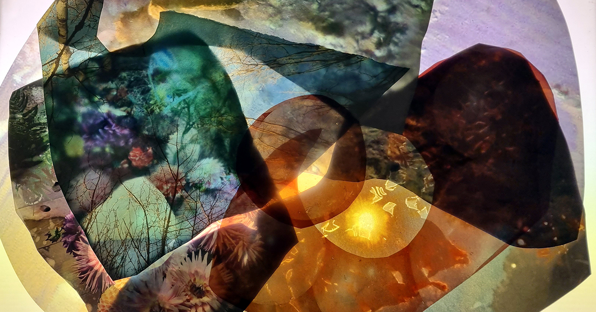 a colourful collage of fragments of overlapping abstract photographs of plants, water and rocks. The colours give the feeling of iridescence.
