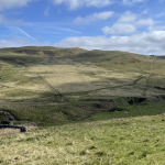 A picture showing bare hills being grazed by sheep in the Ettrick valley.