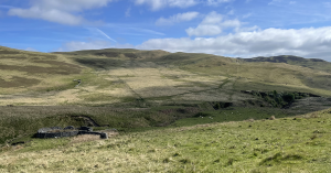 A picture showing bare hills being grazed by sheep in the Ettrick valley.