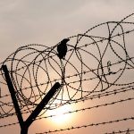Silhouette of a bird perched on coiled razor wire atop a fence, with the sun setting behind it, casting a warm orange glow across the sky.