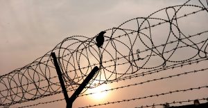 Silhouette of a bird perched on coiled razor wire atop a fence, with the sun setting behind it, casting a warm orange glow across the sky.