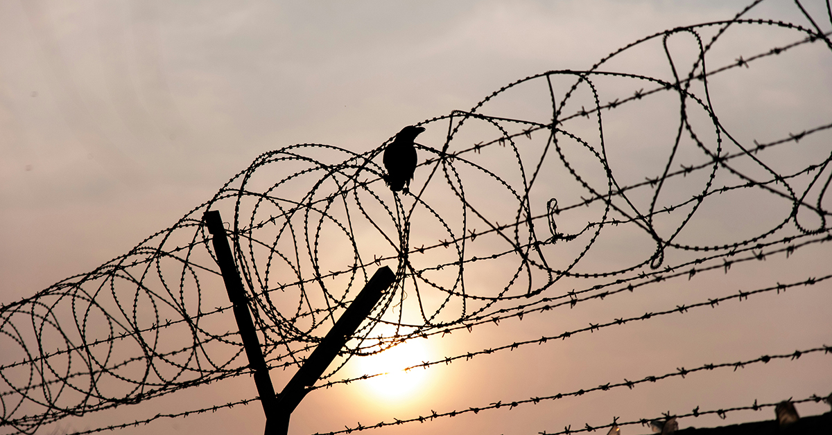 Silhouette of a bird perched on coiled razor wire atop a fence, with the sun setting behind it, casting a warm orange glow across the sky.