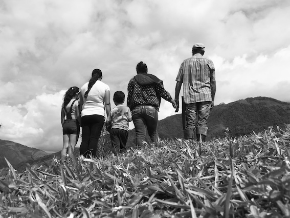 This black-and-white image depicts a family of five, their backs to the camera, standing or walking together on a grassy hill. Captured from ground level, the simple framing focuses on their silhouettes against the hill and open sky. The group includes two adults and three children in casual clothing, some holding hands, standing close as a unified family unit. Their body language is neutral, without overt emotion. The scene is set in natural daylight, with the textured grass in the foreground and soft foliage visible in the distance, creating a quiet, understated composition that emphasises togetherness and the shared moment.